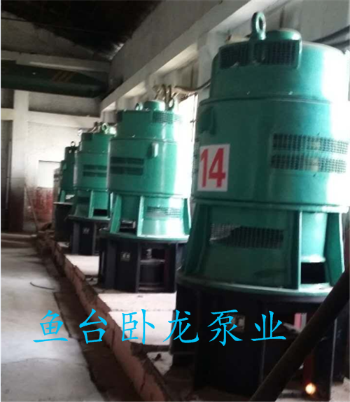 轴流泵在使用过程中出现的故障分析